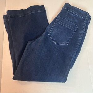 Anthropology Pilcro Philia Dark Wash Cropped Wide Leg High Rise Jeans Women 29